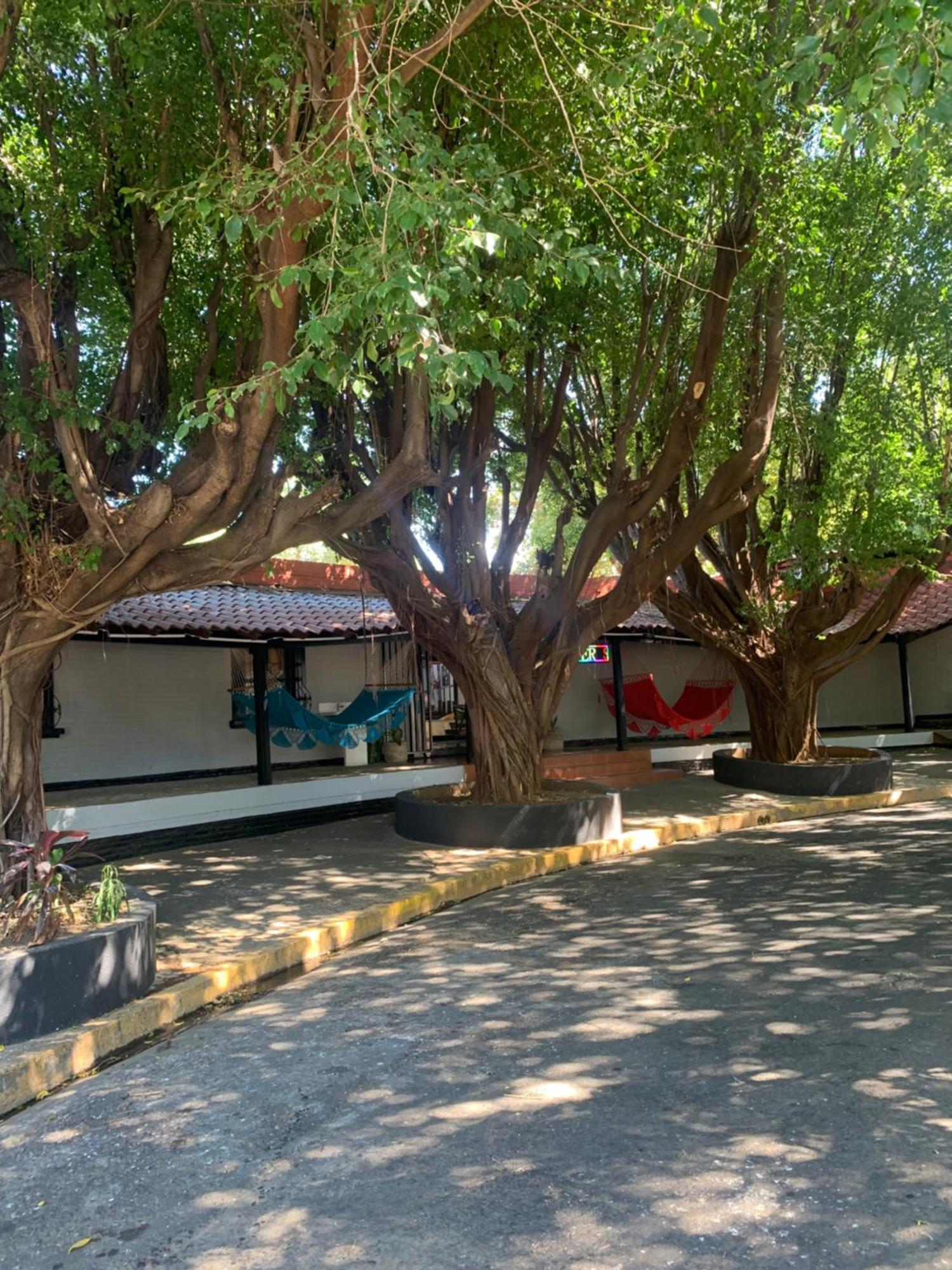Managua Hotel Oasis Εξωτερικό φωτογραφία