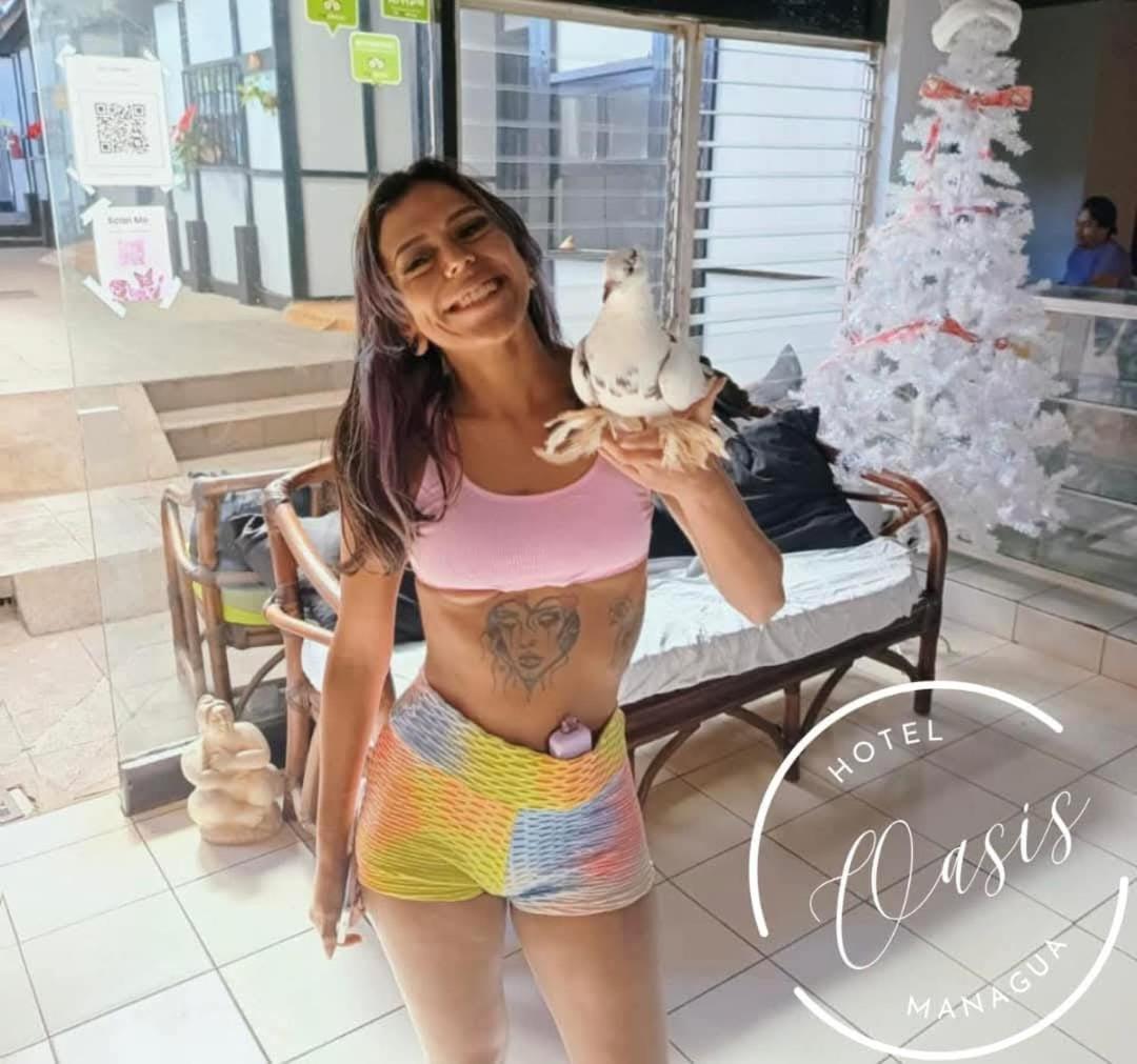 Managua Hotel Oasis Εξωτερικό φωτογραφία