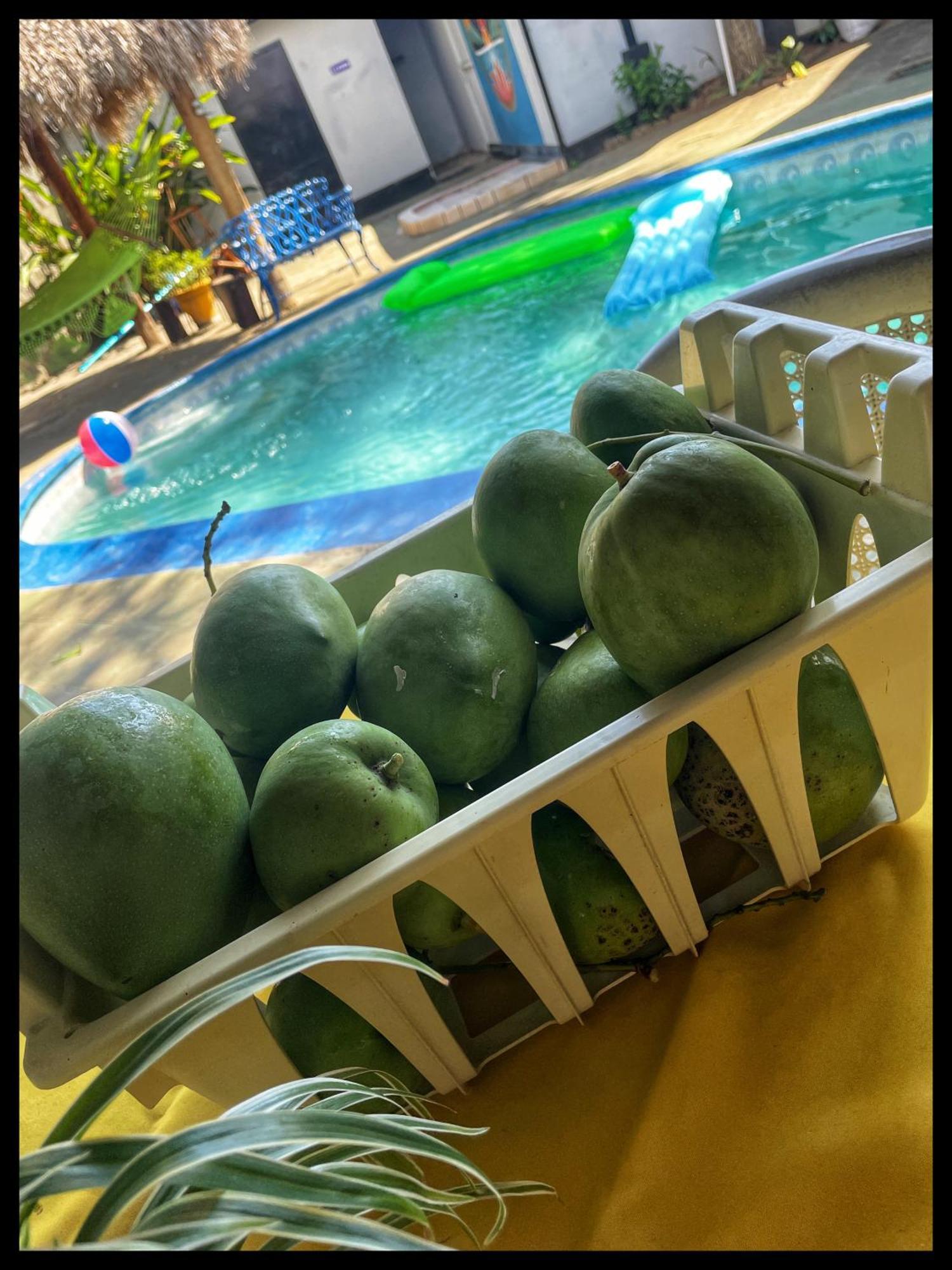 Managua Hotel Oasis Εξωτερικό φωτογραφία
